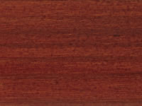 teak